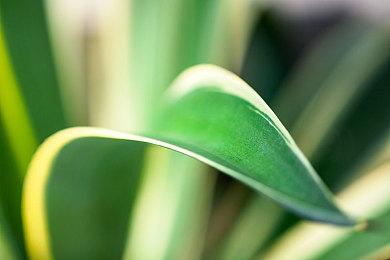 Xbox Series X＆S收到《夺宝奇兵》免费动态主题